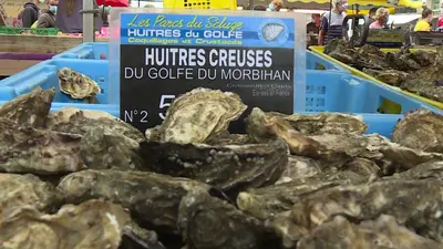Les huîtres du marché de Sarzeau